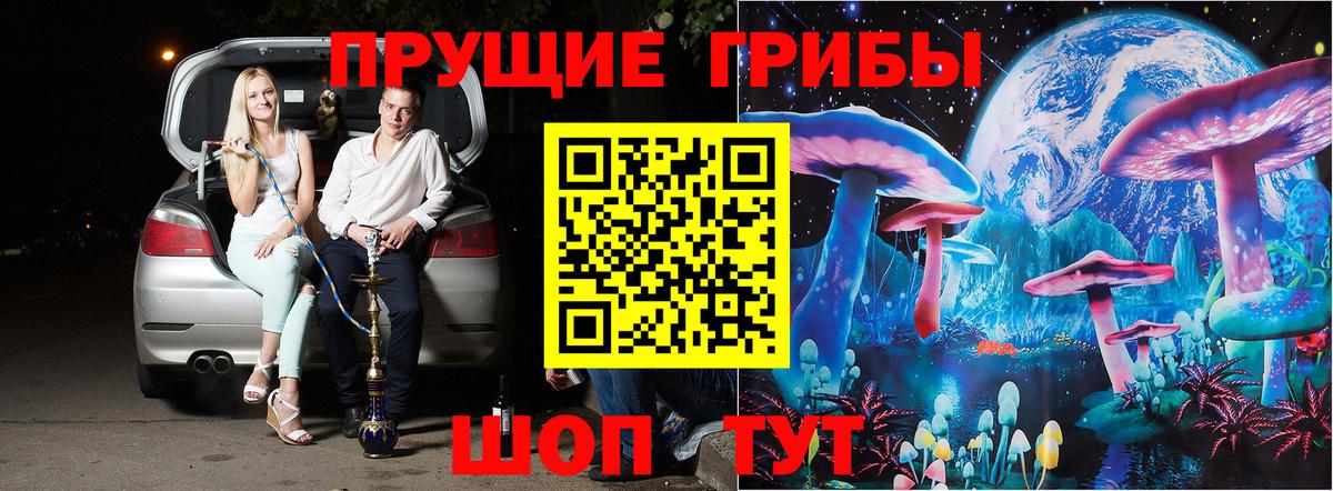 Псилоцибиновые грибы прущие грибы Уссурийск