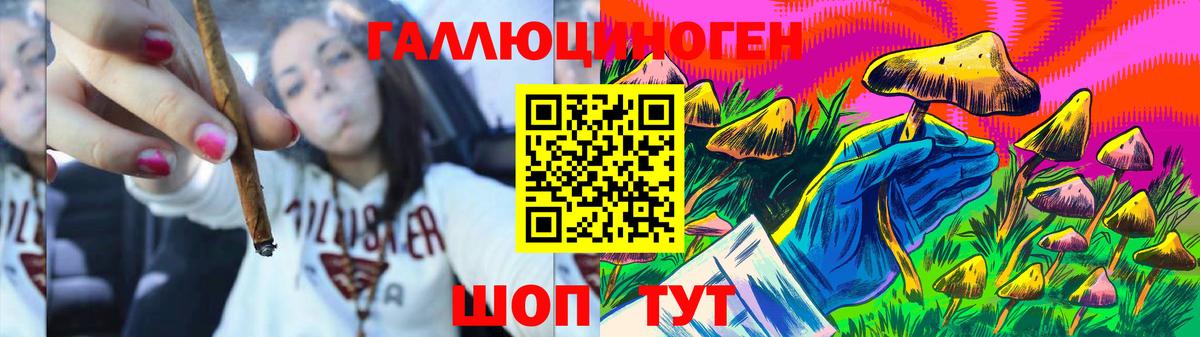Псилоцибиновые грибы прущие грибы  Вход с VPN  сколько стоит  Уссурийск 